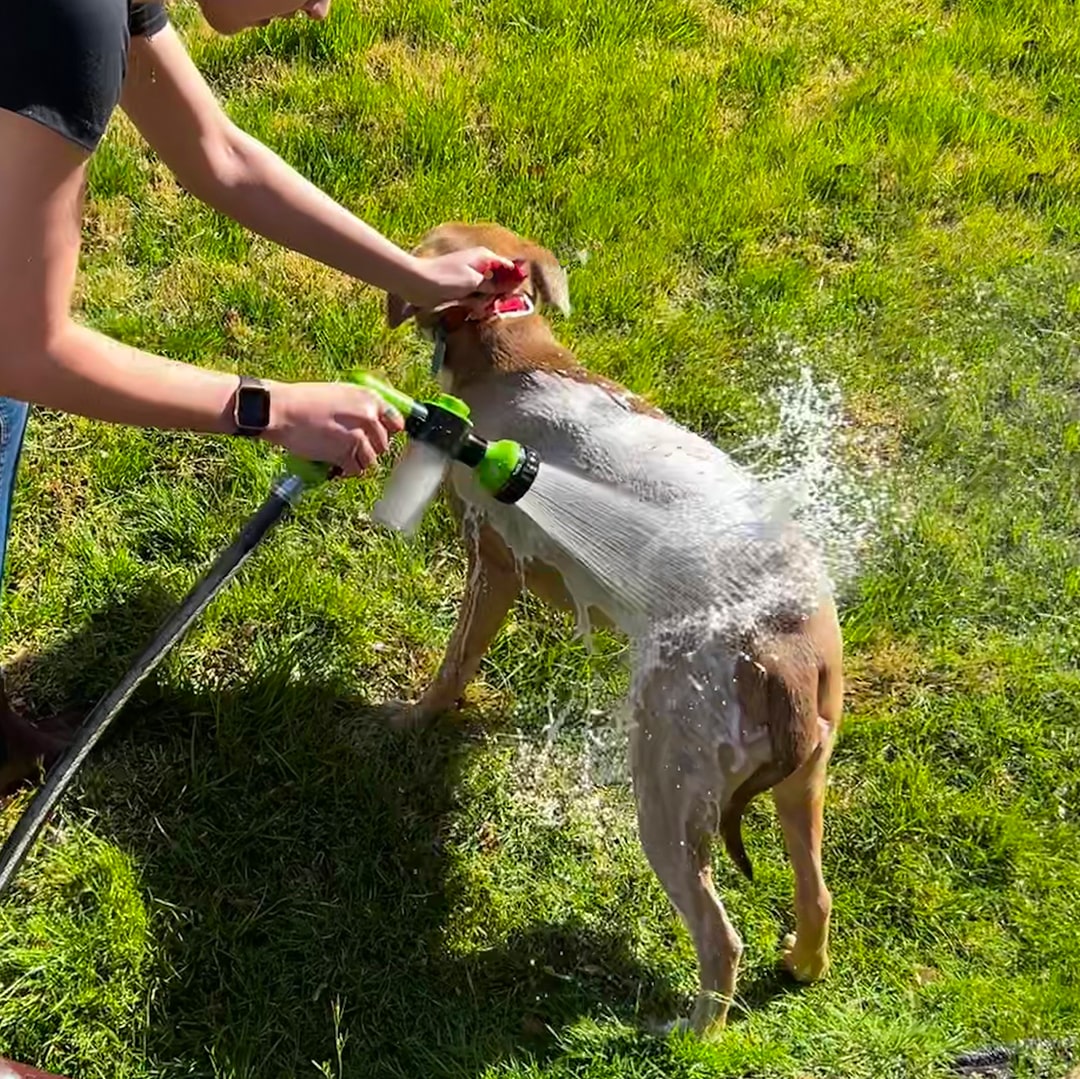 HydroJet™ - Pistolet de toilettage pour chien