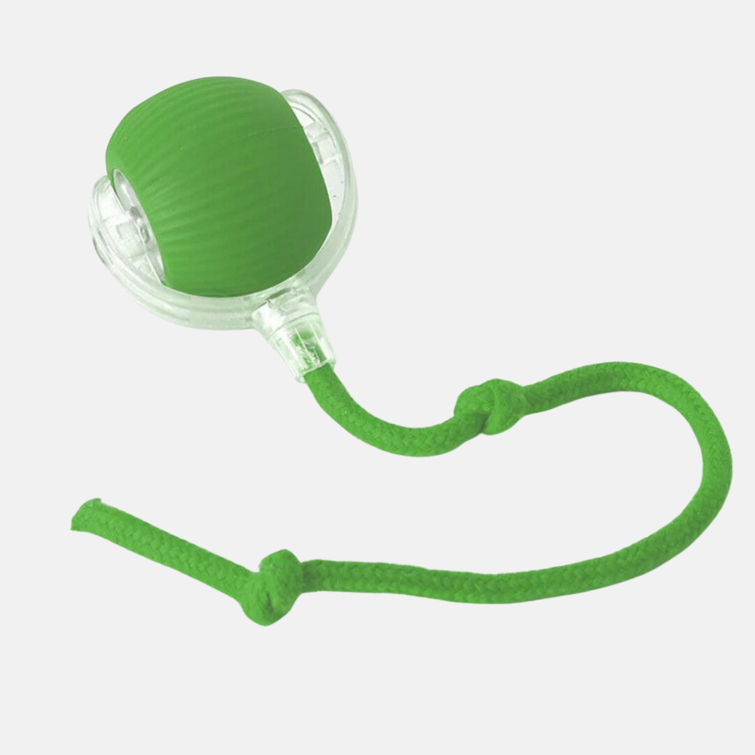 PawBounce™- Balle intéractive