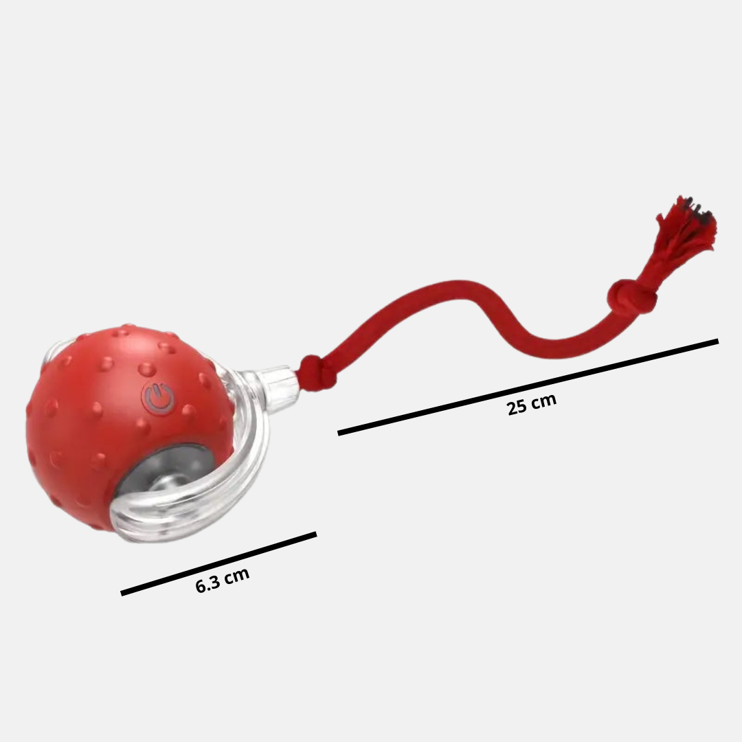 PawBounce™- Balle intéractive