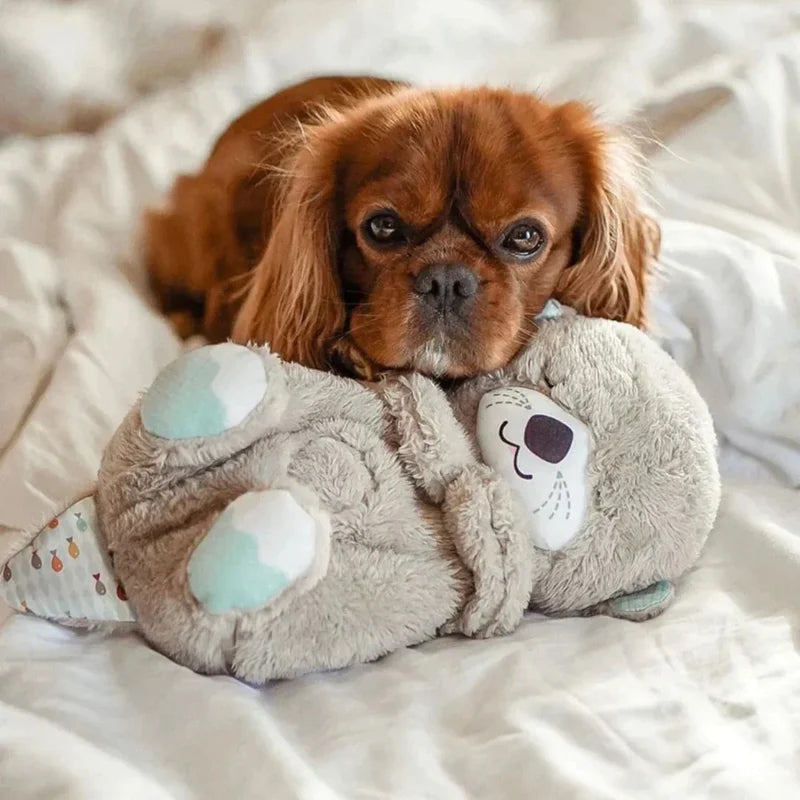 Sleepiies™ - La peluche apaisante pour animaux