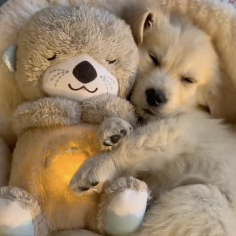 Sleepiies™ - La peluche apaisante pour animaux