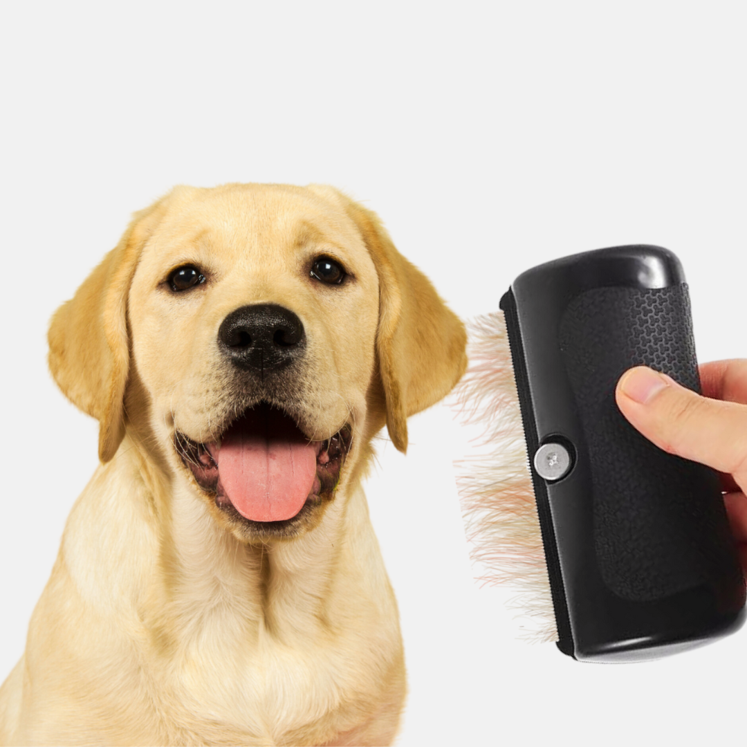 Grumify™ - Brosse de toilettage