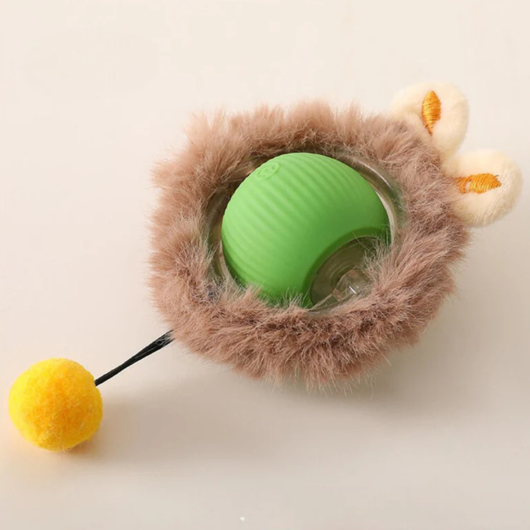 PawBounce™- Balle intéractive