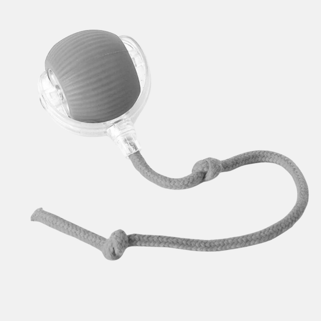 PawBounce™- Balle intéractive