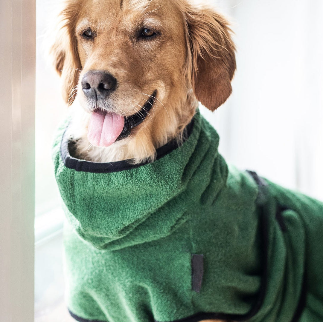 PupWrap™ - Serviette de bain Super Absorbante