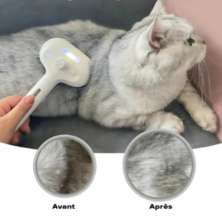 PuffEase™ - Brosse de toilettage vapeur