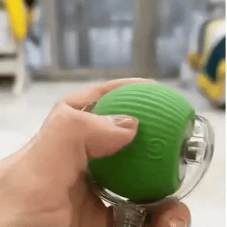 PawBounce™- Balle intéractive