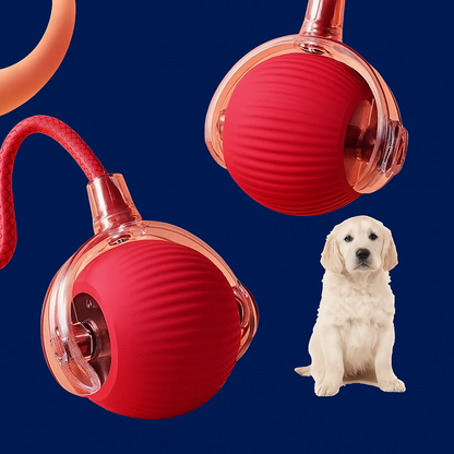 PawBounce™- Balle intéractive
