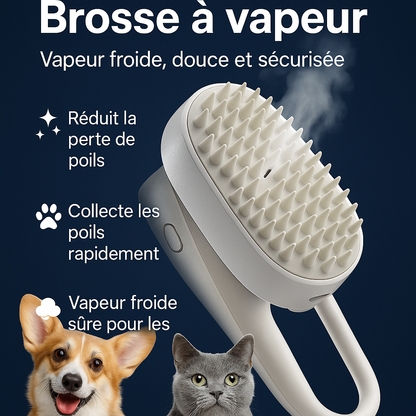 PuffEase™ - Brosse de toilettage vapeur